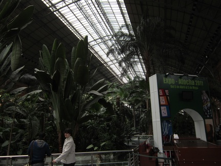 2 Trees in the Atoche Train Station